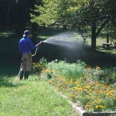 〔A/P〕【未経験OK！４月勤務開始】三ツ池公園／園内作業スタッフ～桜の名所として名高い公園でのお仕事です～の画像