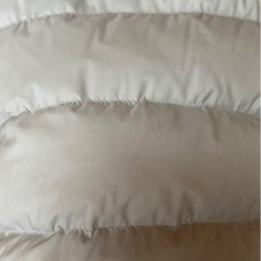 タトラス　ダウンの画像