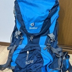 (手渡し限定)登山リュック