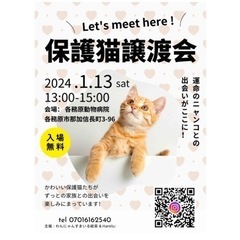 各務原🐾猫の譲渡会