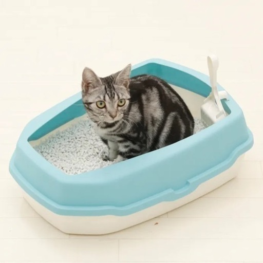 猫　トイレ　水色