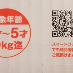 室内用ジャングルジムの画像