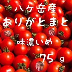 試食可！ 八ヶ岳産　行列ありがとまと 1パック 約75g 味濃い...