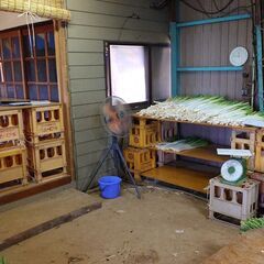 農業軽作業（屋外作業）の画像