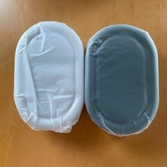 猫草水耕栽培キット
