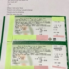 Bruno Mars ブルーノマーズ　1/16 S指定席 2枚連...