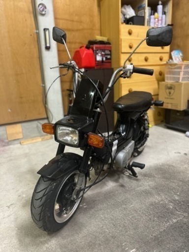 原付売ります　シャリー50 角目