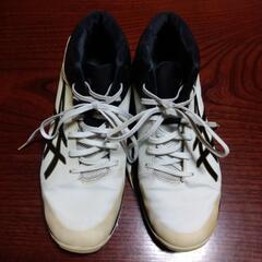 アシックスバッシュ　２５センチ