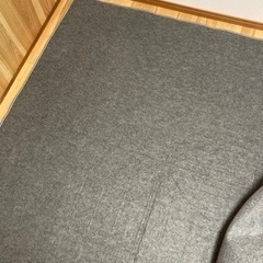 【お話し中】MORITA ホットカーペット　二帖用の画像