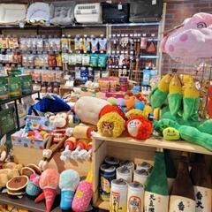 【名古屋 駅近】 トリマーさん 大募集！明るくて楽しいお店の画像