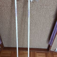 ⛄SALOMONスキー板＆ストック⛄の画像