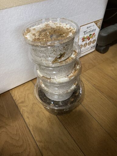 オオクワガタ能勢産YG血統　幼虫5匹と飼育用品