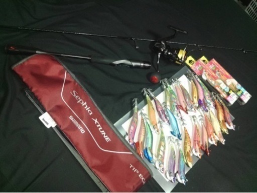 アオリイカ　ティップラン