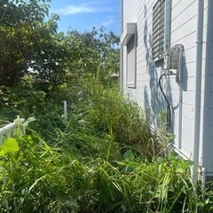 除草・整理整頓等お手伝いします。