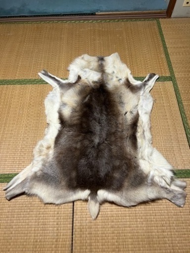 トナカイの毛皮　敷物　壁掛け