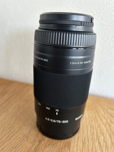 レンズ Sony SAL75300