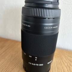 Sony SAL75300