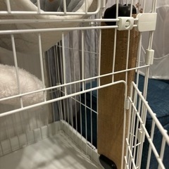 【ミニキャットケージ】差し上げます！！の画像