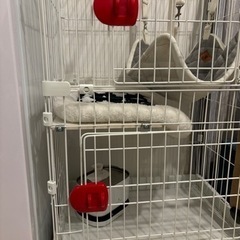 【ミニキャットケージ】差し上げます！！の画像