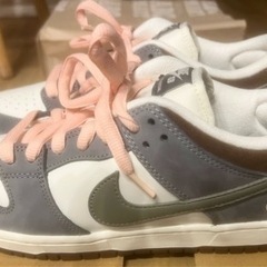 着用回数1回❗️Yuto Horigome Nike SB Dunk Low