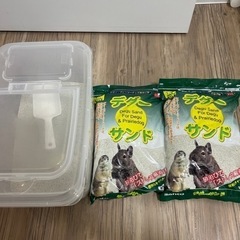 デグー 砂