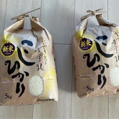 コシヒカリ10kg