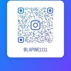 春満開の桜フラワーボックスの画像