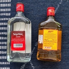 ベトナムのNepMoiとタイのMekhongの画像