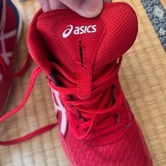 レスリングシューズの画像