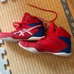 レスリングシューズの画像