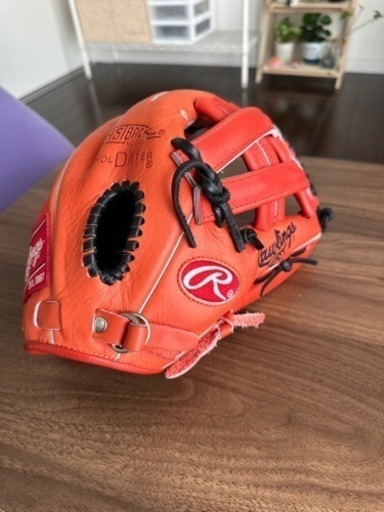 ローリングス　プロモデル