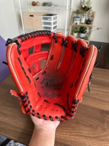 ローリングス　プロモデル