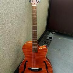 ARIA FET-F2 STBR  Fホール エレアコ サテン　...