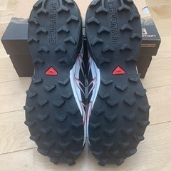 靴　SPEEDCROSS PRO 25cmの画像