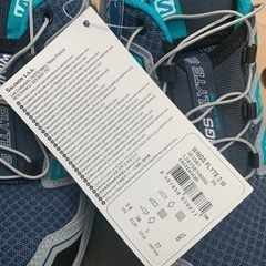 【週末取引優先】靴 WINGS FLYTE 2 W 22cmの画像