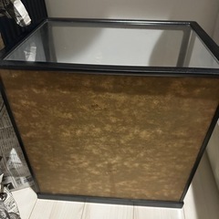 ひな祭りに飾る人形です。の画像