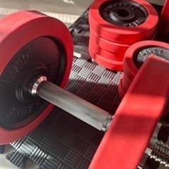 リーディングエッジ　ラバーダンベル一式