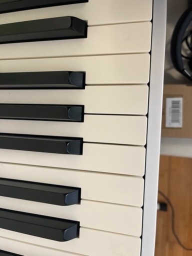 CASIO PX-S1000 2020年10月購入