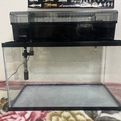 60水槽セット【商談中です】