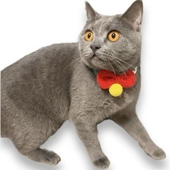 【新品】猫 犬 首輪 毛糸の画像