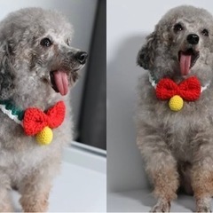 【新品】猫 犬 首輪 毛糸の画像