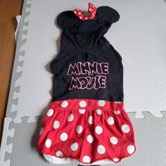 犬服(決まりました)の画像