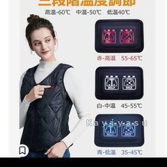 電熱ベスト レディース Lサイズの画像