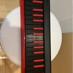 【希少、準ジャンク】KORGコルグUSB MIDIキーボード microKEY-37 マイクロキーの画像