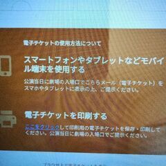 神韻シェンユン公演　さいたま市チケット2枚の画像