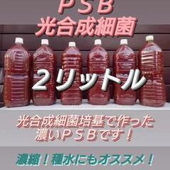 🐟濃縮ＰＳＢ２リットル　📢ジモティー販売開始　当店のＰＳＢは光合成培基で培養しています💡種水にもオススメ❗の画像