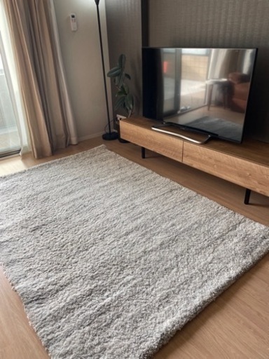 カーペット　グレー