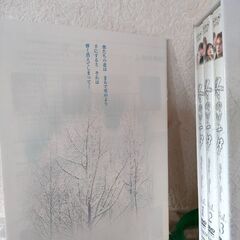 冬ソナDVD BOX1 (1 〜3)+パチンコ冬のソナタアルバムパンフ非売品の画像