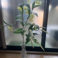 【無料】観葉植物 (造花) 必要な方に！