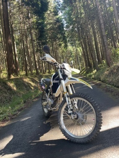 低走行⭐️klx250 エンデューロ